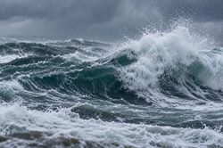 Bão Polo tiến về Baja California Sur, du khách đến Cabo San Lucas cần lưu ý