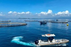 Khai mở không gian phát triển mới