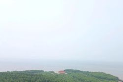 Bảo vệ, phát huy tiềm năng hệ sinh thái rừng miền đất cực nam