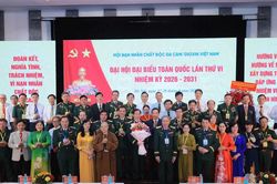 Đại hội đại biểu toàn quốc Hội Nạn nhân chất độc da cam/dioxin Việt Nam lần thứ VI, nhiệm kỳ 2026-2031