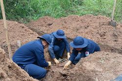 An Giang: Đội K93 quy tập được 5 hài cốt liệt sĩ