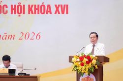Làm luật trong tư duy hệ thống để phát triển bền vững
