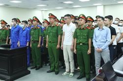 Cựu Phó phòng hình sự lĩnh 12 năm tù vì chiếm đoạt 140.000 USD 'chạy tội' cho công ty sữa giả