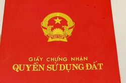 Sổ đỏ sai năm sinh, người đứng tên đã mất: Có phải đính chính mới được sang tên?