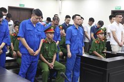 Nhận 140.000 USD chạy án cho công ty sữa giả, cựu công an lĩnh 12 năm tù