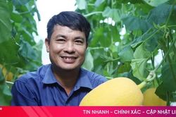Hà Tĩnh 'nâng chất' nông thôn mới từ bộ tiêu chí giai đoạn 2026 - 2030