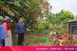 Hướng tới giảm nghèo bền vững ở Việt Xuyên