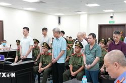 Vụ khai thác quặng trái phép ở Yên Bái: Các bị cáo phân chia tỷ lệ lợi nhuận
