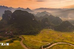 Mùa vàng trên thung lũng Chiềng Sinh ở Điện Biên