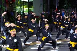 Giới thiệu giá trị đặc sắc của Võ thuật cổ truyền Việt Nam đến bạn bè quốc tế