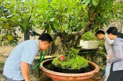 Sau mưa, dịch sốt xuất huyết dễ bùng phát