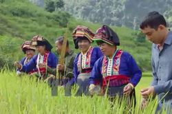 Tết Khẩu Hó mừng lúa mới vùng biên