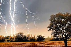 Đang đi đường, cô gái 33 tuổi bị sét đánh