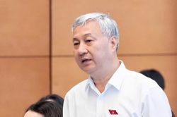 ĐBQH lo doanh nghiệp chưa có lãi đã hết thời hạn được miễn giảm thuế
