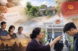 Mẹ kiện con trai không trả lại đất được tặng cho