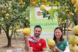 Vượt rào cản tiêu chuẩn để doanh nghiệp Việt Nam mở cửa thị trường Halal toàn cầu