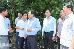 Phó Chủ tịch tỉnh An Giang yêu cầu làm rõ trách nhiệm, đẩy nhanh tiến độ Dự án đường Hồ Chí Minh