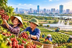 Chính sách tổng thể cho “trụ đỡ” của nền kinh tế