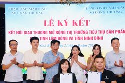 Kích cầu tiêu dùng: Hướng về thị trường nội địa