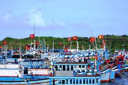 'Mắt thần' VMS trong cuộc chiến chống IUU ở Lâm Đồng