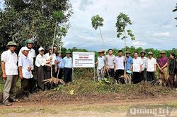 Triển vọng từ giống sắn kháng bệnh khảm lá