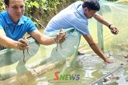 Đảng viên xã Đoàn Kết tiên phong phát triển kinh tế