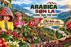 ARABICA SƠN LA - VƯƠN TẦM THẾ GIỚI • Kỳ III: Chế biến sâu - Giữ dòng lợi nhuận, mở dư địa mới