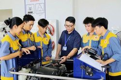 Rà soát cơ sở giáo dục đặc thù để sắp xếp, tổ chức lại