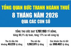 Infographics: Tổng quan bức tranh ngành Thuế 8 tháng năm 2026 qua các con số