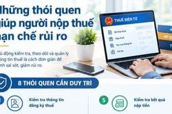Những thói quen giúp người nộp thuế hạn chế rủi ro