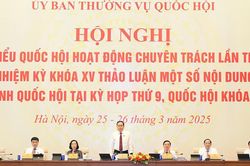 Phát huy vai trò tiên phong của đại biểu