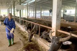 Agribank tạo sức bật cho doanh nghiệp nhỏ và vừa: Bài 1: Mở đường cho doanh nghiệp tăng trưởng
