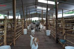 TP. Đồng Nai: Tiếp sức vùng biên phát triển kinh tế