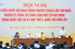 Phân loại rác phải đi cùng hạ tầng thu gom, xử lý