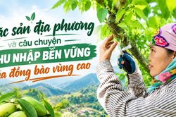 Đặc sản địa phương và câu chuyện thu nhập bền vững của đồng bào vùng cao