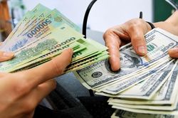 Rút ngắn thời gian xử lý đăng ký giao dịch ngoại tệ với Ngân hàng Nhà nước