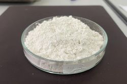 Từ hạt mít, các nhà khoa học tạo vật liệu giữ lượng nước gấp hơn 400 lần khối lượng