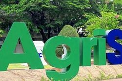 Chủ tịch Đặng Huỳnh Ức My chi lớn gom 11 triệu cổ phiếu, AgriS (SBT) tái cấu trúc loạt công ty con