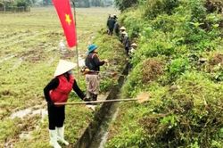 Hội Nông dân chung sức hiện thực hóa nông thôn mới
