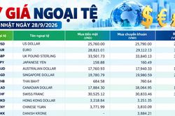 Tỷ giá ngoại tệ ngày 28/9: USD ở mức 26.170 đồng, SGD vượt 20.600 đồng