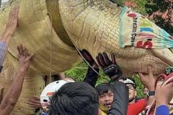 Thái Lan di dời con cá sấu nặng 400kg khỏi chùa vì lo sợ nước lũ gây xổng chuồng