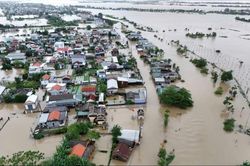 Tp. Huế: Hỗ trợ hơn 86 tỷ đồng để khắc phục thiệt hại nông nghiệp