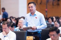 ĐBQH cảnh báo rủi ro từ cơ chế thử nghiệm trong lĩnh vực chứng khoán