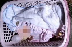 Bé gái sơ sinh bị bỏ rơi trong chiếc làn nhựa gần Nhà thờ