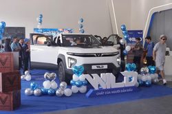 Ưu đãi 104 triệu đồng, VF Wild mở thêm lựa chọn bán tải cho gia đình