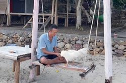 Người đàn ông bán ôtô, xa vợ con ra đảo hoang sống một mình