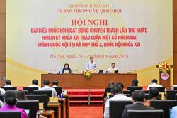 Sửa Luật Xử lý vi phạm hành chính: Làm rõ mức trần và mức phạt cụ thể
