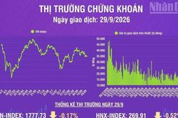 [Infographic] Chứng khoán ngày 29/9: Khối lượng giao dịch khớp lệnh giảm 20,3% so phiên trước