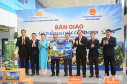 Điện Biên: Quảng bá sản phẩm mắc ca trên các chuyến bay của Vietnam Airlines​