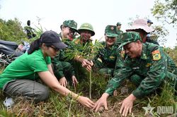 Bộ đội Biên phòng triển khai mô hình 'Lũy tre biên cương' tại Lai Châu